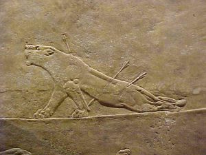 The Dying Lioness from Nineveh, Assyrian period.  From the North Palace of Ashurbanipal (660 BCE, alabaster mural relief, 6½ x 114/5 in [16.5 x 30 cm]).  British Museum, London.