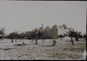 View of Madrasa al-Firdaws with Pistachio Trees. Photo © Creswell Archive, Ashmolean Museum, neg. EA.CA.5844. Image courtesy of Fine Arts Library, Harvard College Library.